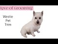 Pet Westie Grooming