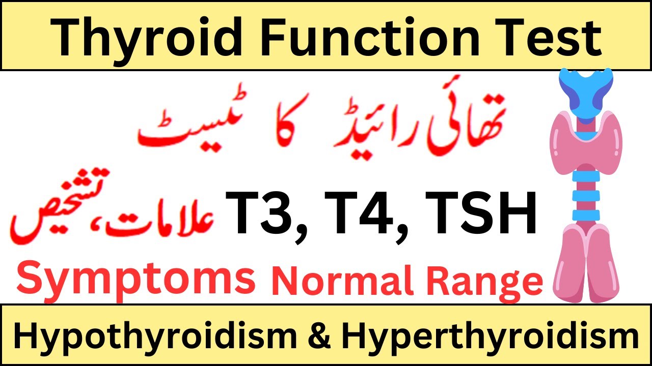 Thyroid Function Test | T3, T4, TSH | TFT test - YouTube