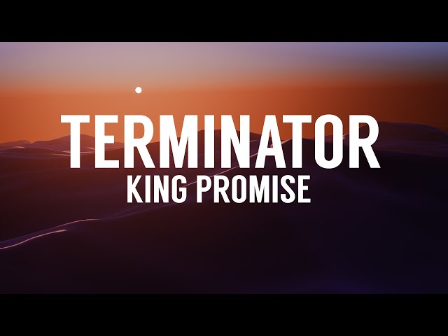 King Promise - Terminator (Lyrics) class=