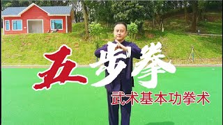 五步拳教学精炼版来了，五个动作半小时轻松学会，来挑战一下吧！