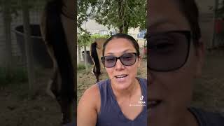 We Will Be On Aptn Tv - Camilleshorsemanship