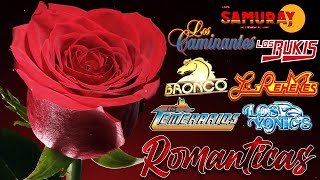Gruperas 90s del Recuerdo - Bronco, Temerarios, Bukis, Acosta, Bryndis, Caminantes, Yonics y mas