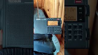 The Buzzer, The Pip, T-Marker, The Squeaky Wheel. Spring reception.  #radiostation #tecsun #radio