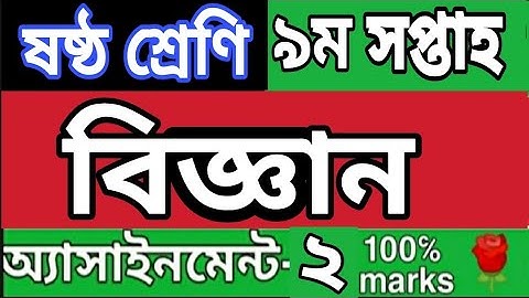 ||ষষ্ঠ শ্রেণির বিজ্ঞান এসাইনমেন্ট ২|| Week 9 class 6 Science assignment 2||