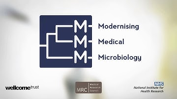 Tackling and tracking TB through DNA analysis