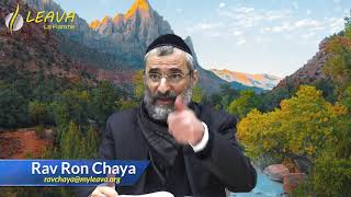 Les Anges De Jacob, Un Avertist À Essav - Or Hahaim Sur Vayichlah - Rav Ron Chaya