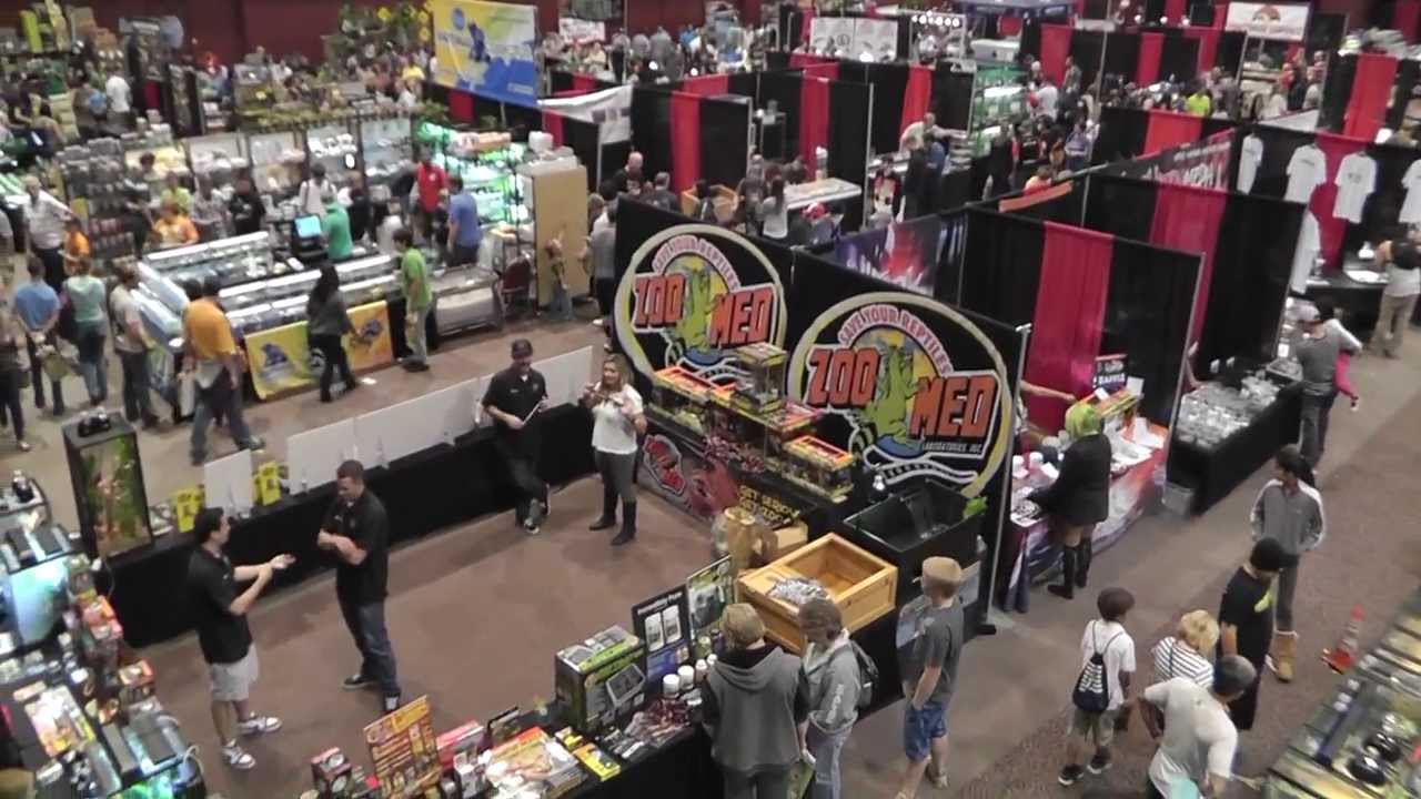 San Diego Reptile Super Show Part 1 YouTube