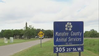 Upgrades coming to Manatee County Animal Services shelter to help keep animals cool during summer Guide