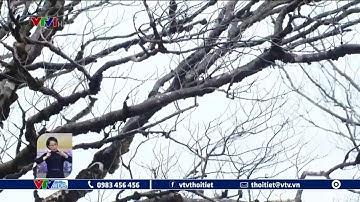 Các vùng núi cao ở phía bắc cảnh báo băng giá và sương muối | VTVWDB