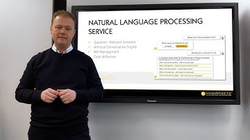 Insight services: Natural language processing | Mindbreeze Video Blog