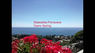 Video thumbnail of "Maledetta primavera - Loretta Goggi - English translation (Lyric Video)"