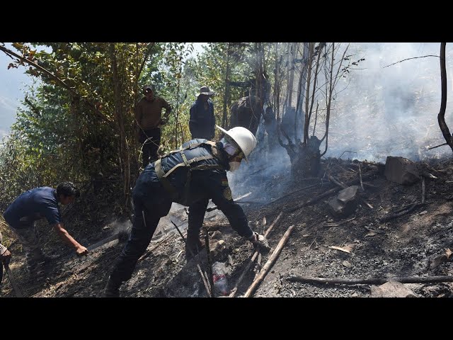 Humo de incendios forestales - Especiales CDC - CDC en Español