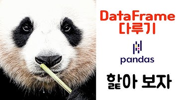 [데이터분석 기초] 판다스 데이터프레임 다루기 기초(따라 해보세요~)