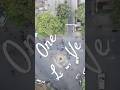WATCH TILL END