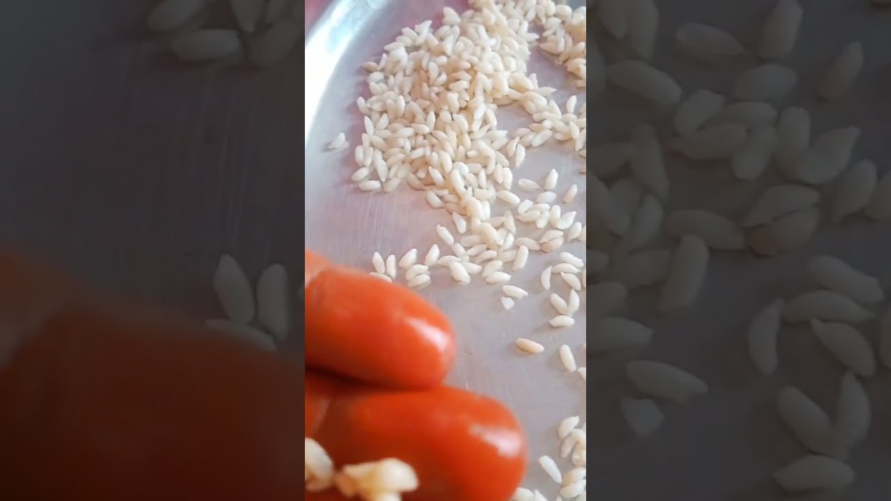 Plastic Rice 🌾 Be aware 