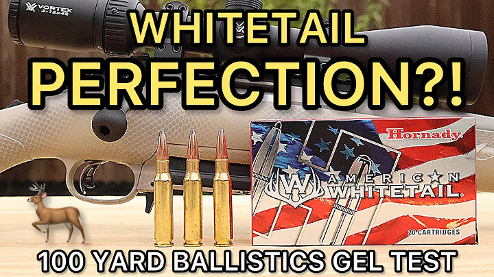 7mm-08 CHAMPION?! Hornady American Whitetail Hunting Ammo Test