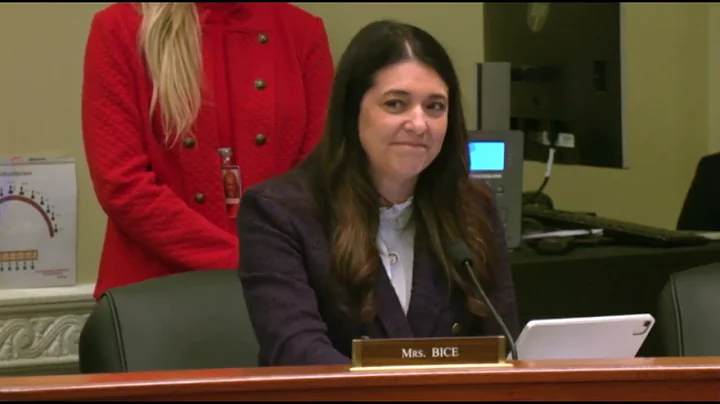 Rep. Bice questions witnesses at Secretaries of State Hearing