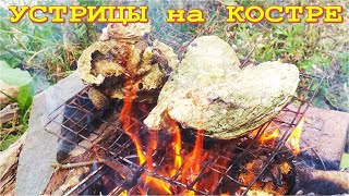 Узнай 🍁 СЕКРЕТ ПРИГОТОВЛЕНИЯ УСТРИЦ 🔥 теперь готовить будешь Только так 🙉 (Полный Фильм) ☘