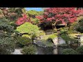 Tag 15 - Burg Nijo-jo, kaiserliche Palastgärten und Schildkröten