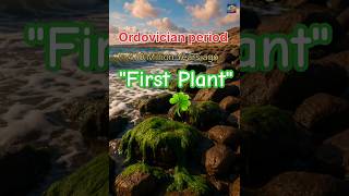 "The First Plant": How Plant ☘️ Conquered Land in Ordovician Period