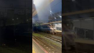 24.6.5 1060レ 新南陽➡️東京タ Ef210🟦🐶🐵🦆🍑牽引貨物列車 徳山駅通過 Resimi