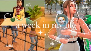 a week in the sims life