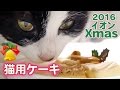 2年ぶり！猫用クリスマスケーキを食べる愛猫♪〜イオン限定♡3個Set　-Cute Cat eating Christmas cake 2016.