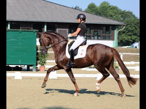 LIFE TIME & Charlott Schürmann - 2. WM-Sichtung 2022 @HorsesInMotion