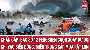 Khẩn cấp: Bão số 12 Fengshen cuộn xoáy dữ dội khi vào Biển Đông, miền Trung sắp mưa rất lớn