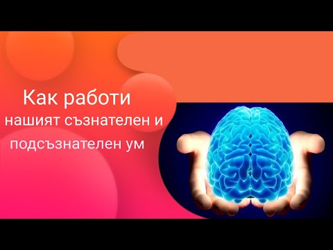 Как работи нашият