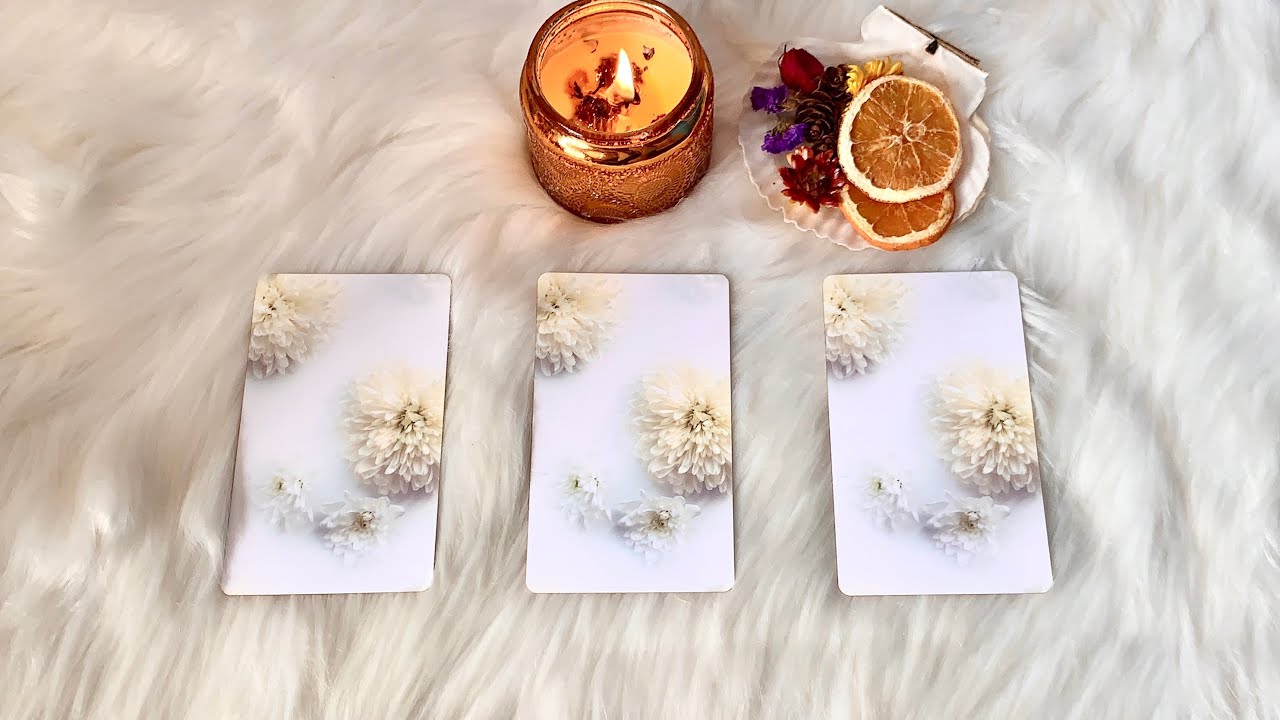 What Does Your Heart TRULY Want?🐚Timeless Tarot Reading