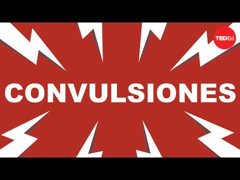 ¿Qué causa las convulsiones y cómo podemos tratarlas? - Christopher E. Gaw