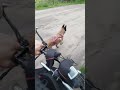 Malinois and bike #малинуа #malinois