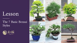 Bonsai Expert Explains: The 7 Basic Bonsai Styles You Need to Know || Wazakura Japan