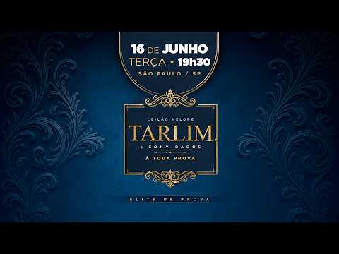 LOTE 24