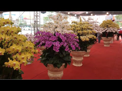 Toàn cảnh hội