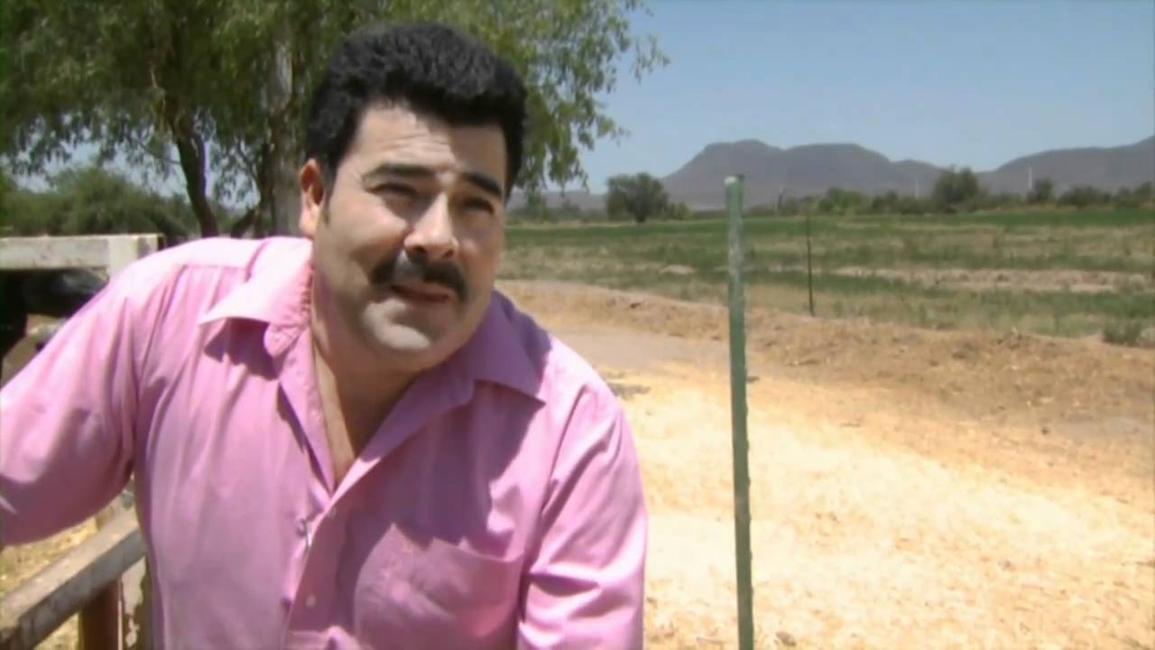 un dia con sergio vega el shaka hd youtube un dia con sergio vega el shaka hd youtube