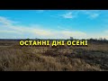 Останні дні осені...