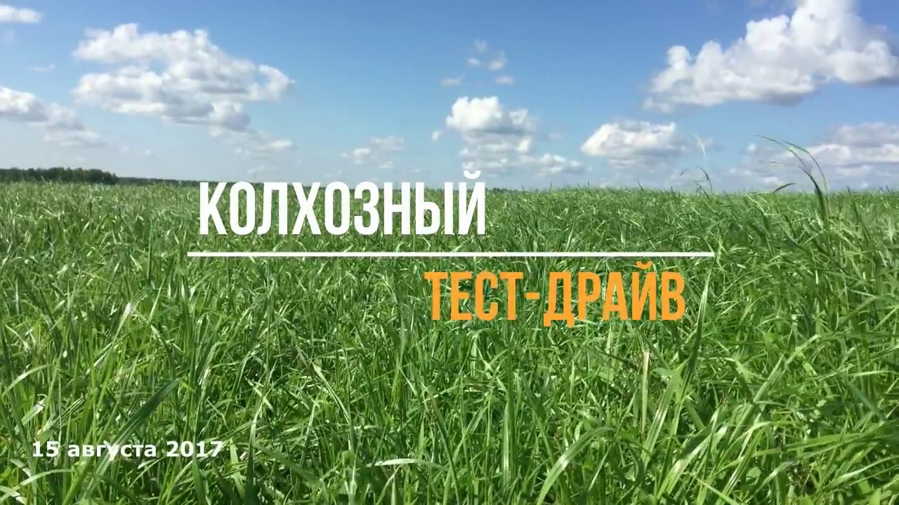 Райграс однолетний. Колхозный Тест-Драйв. - YouTube