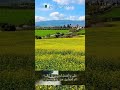 نظرت الصالحين بكيت حالي