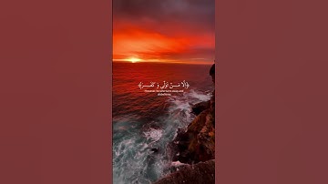Surah Al_Ghashiya|Abdul Rahman Mossad #عبدالرحمن_مسعد#quran #القرآن_الكريم#اكسبلور #تلاوة_خاشعة