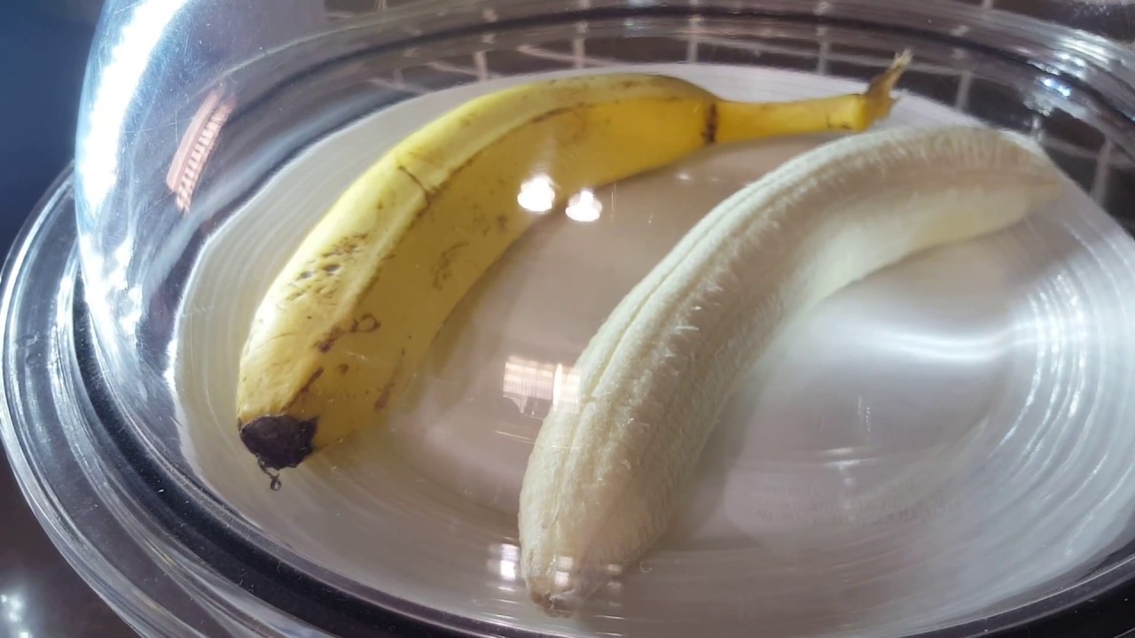 Banana in a vacuum chamber YouTube