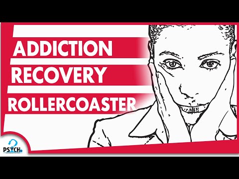 Addict Recovery Rollercoaster (The Pains & Gains)