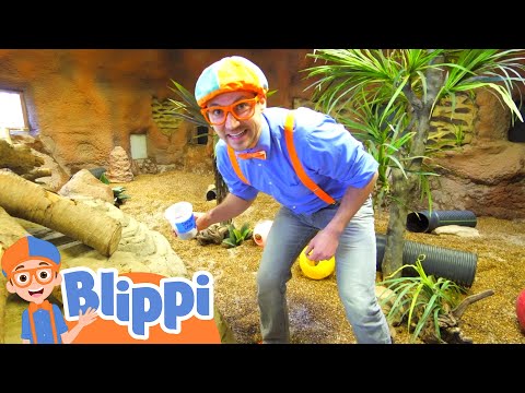 Blippi Visits Point Defiance Zoo & Aquarium! | Animals for Kids | Animal Cartoons | Funny Cartoons