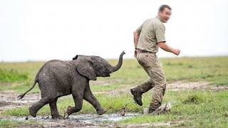 117. Baby Elephant Won't Stop Chasing Man You Won't Believe Why