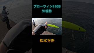 ブローウィン110s沖堤シーバス