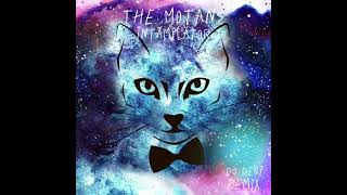The Motans - Intamplator (DJ Denz Remix)