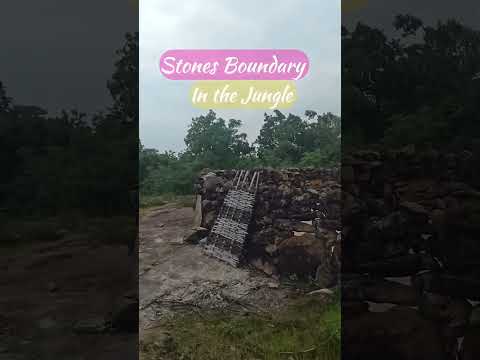 Stone Boundary Jungle