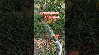 #pertanian #fypシ゚viral #drib irrigation#fruit #shorts #shortvideo #viral #india