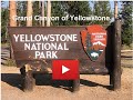 Yellowstone National Park - Grand Canyon of Yellowstone ~ Wyoming